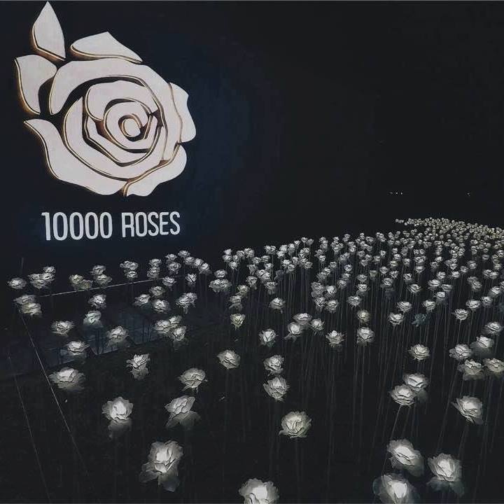 10000 ROSES Cafe and More job hiring image