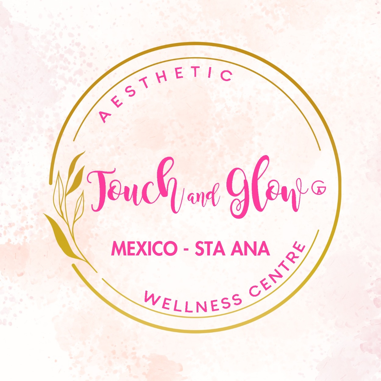 Touch and Glow Aesthetic Wellness Centre - Mexico Santa Ana Branch job hiring image