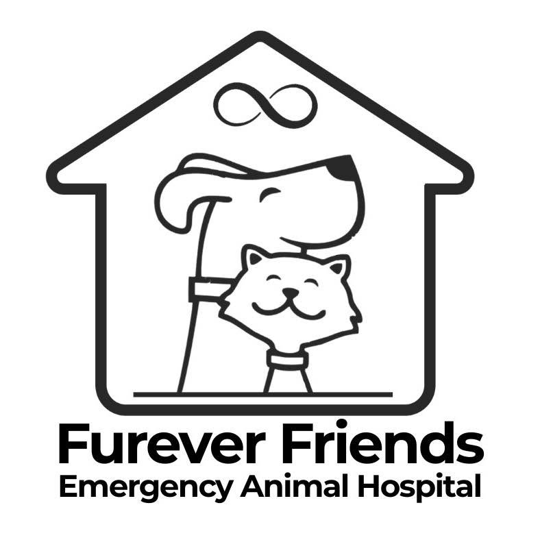 WE'RE HIRING! | Front Desk / Receptionist 🐾
image