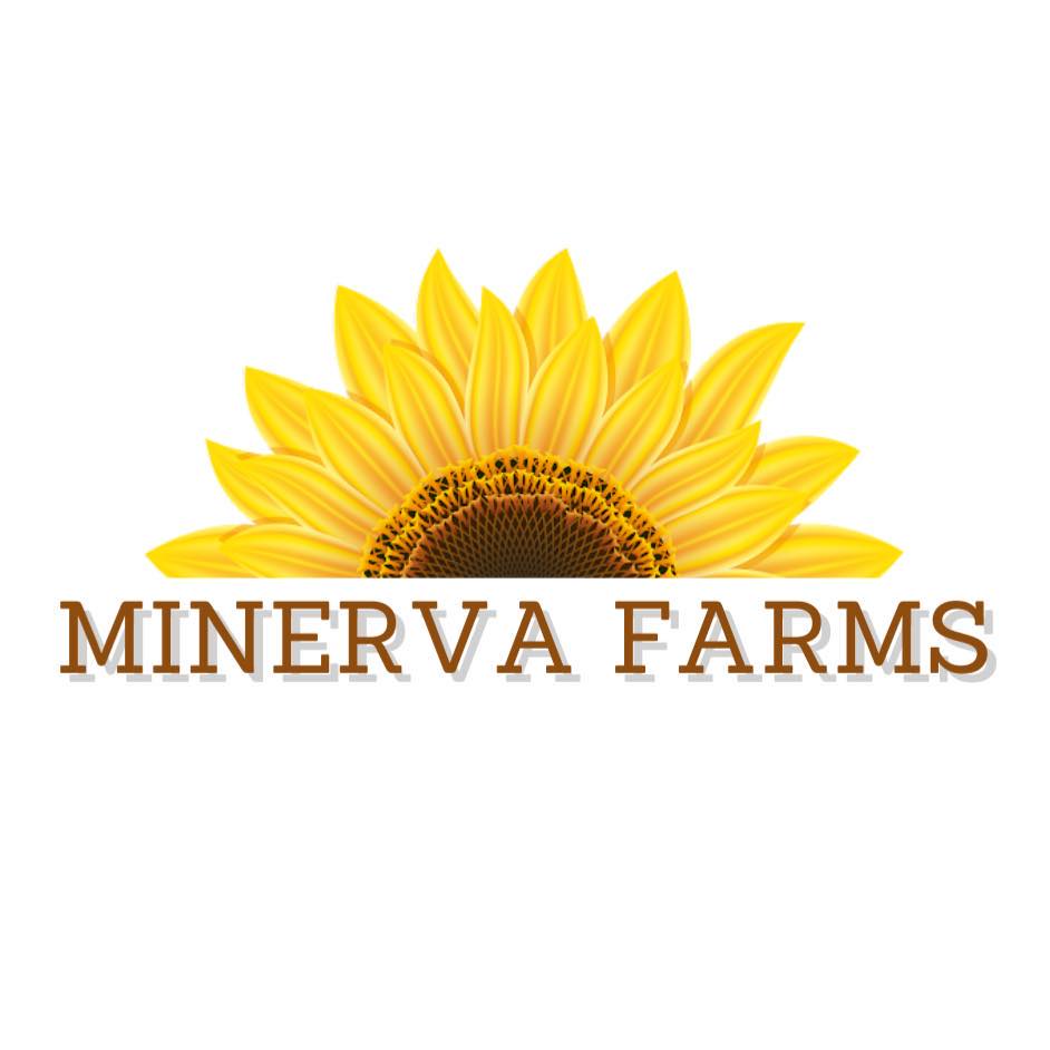 Minerva Farms job hiring image