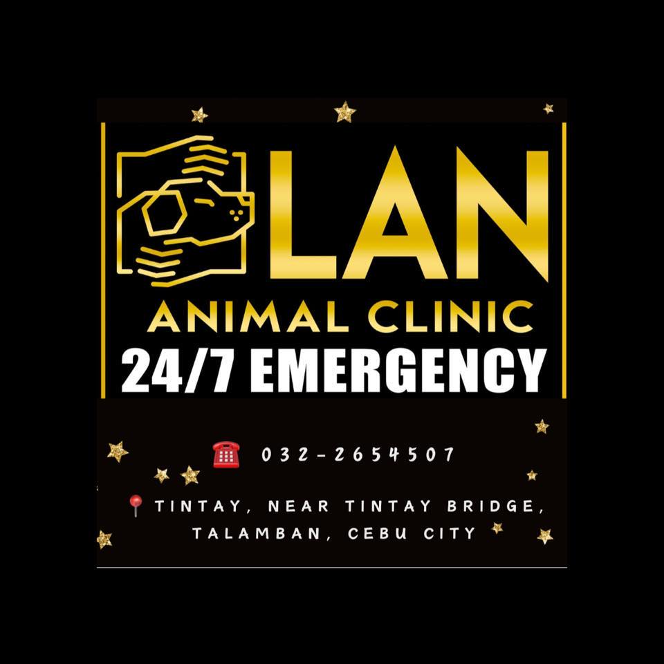 LAN Animal Clinic job hiring image