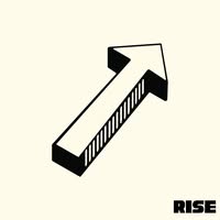 Rise Research job hiring image