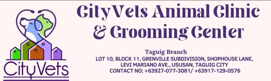 CityVets Animal Clinic - Ususan Taguig job hiring image