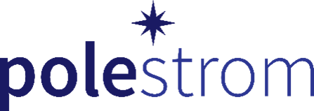 Polestrom is an infrastructure advisory firm primarily engaged in domestic and international project development and management consultancy services. image