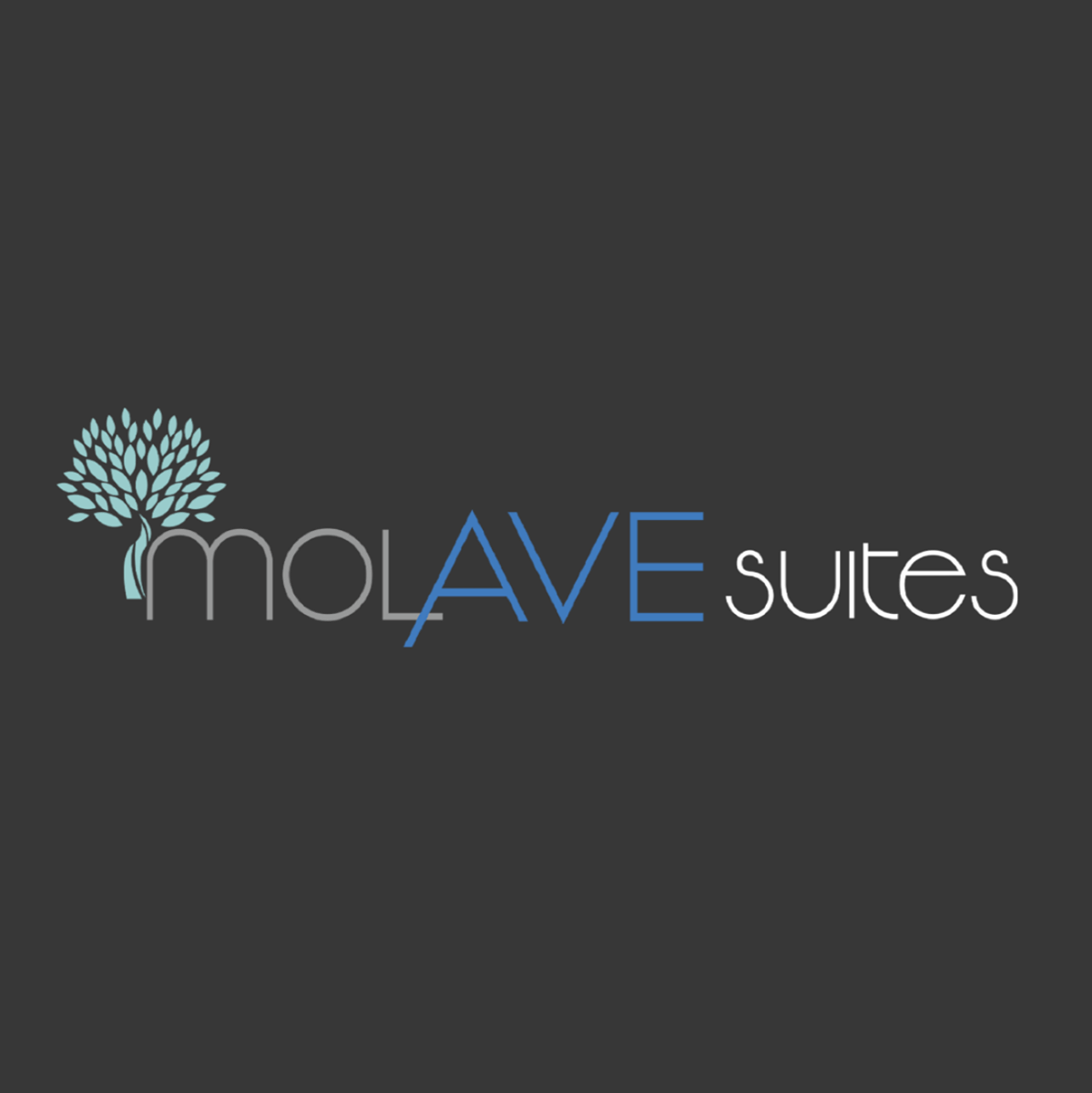 Molave Suites job hiring image