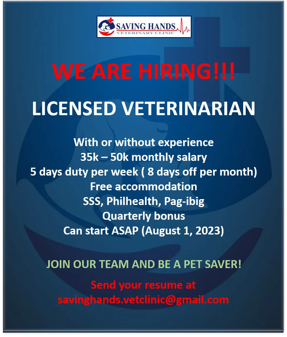 Licensed Veterinarian image