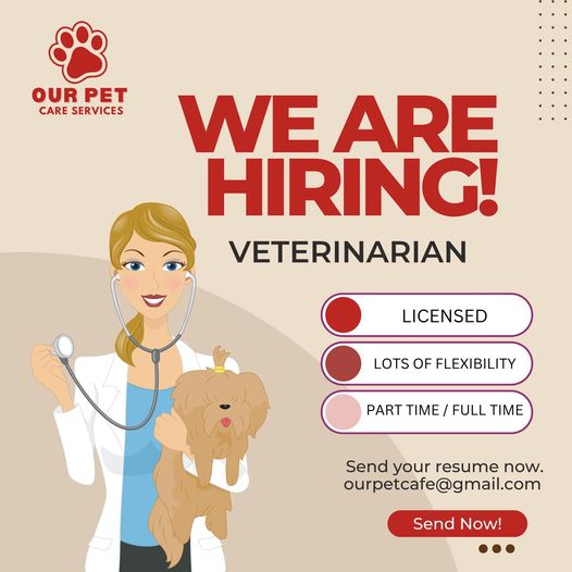 Our Pet Care Services - BF Parañaque job hiring image